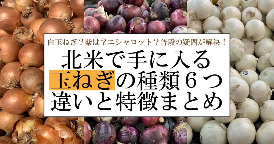 これで解決 アメリカやカナダなど北米で手に入る玉ねぎの種類6つの違いと特徴まとめ 野菜ソムリエ Hiro のベジフルポケット