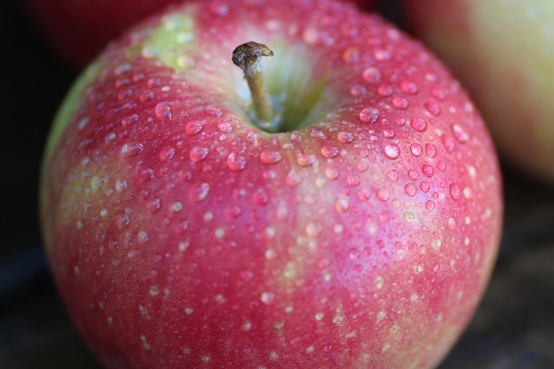 世界で最も甘い品種の一つも?!北米で入手した少し珍しいりんご3種類 