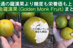 GOLDEN-MONK-FRUIT