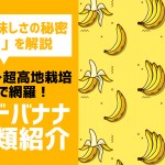 【標高差でバナナの品質が違う？】低地～超高地栽培まで網羅！ブランドバナナ14選