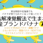 japanese-brand-banana7