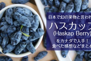 haskapberry