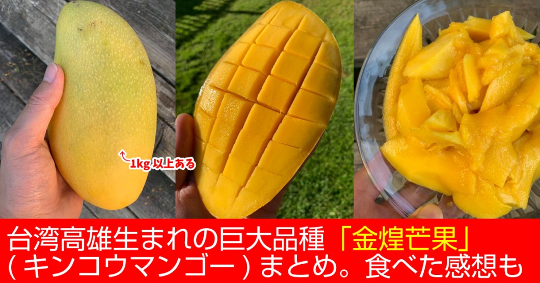 台湾高雄生まれの巨大品種 金煌芒果 キンコウマンゴー まとめ 食べた感想も 野菜ソムリエ Hiro のベジフルポケット