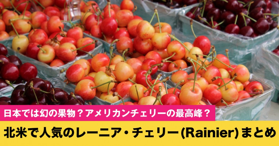 日本では幻のさくらんぼ？北米で人気のレーニア・チェリー(Rainier