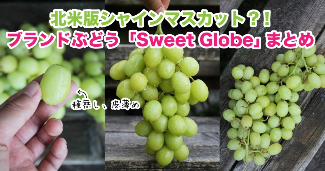 北米版シャインマスカット ブランドぶどう スイートグローブ Sweet Globe Grape まとめ 野菜ソムリエ Hiro のベジフルポケット