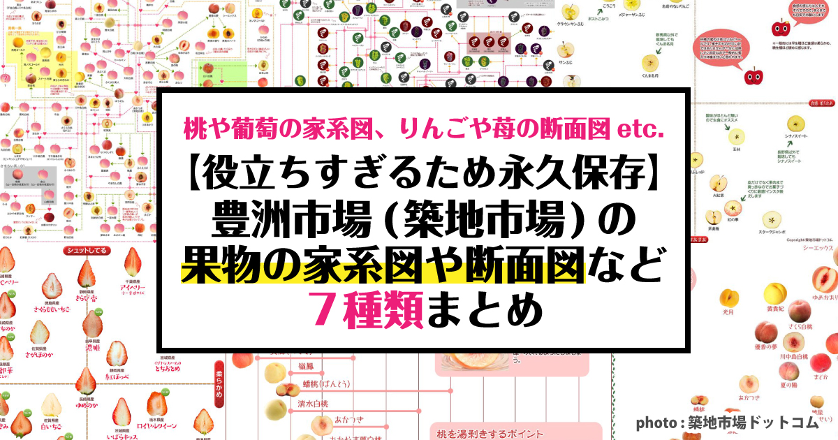 永久保存版 豊洲市場 築地市場 の役立ちすぎる果物の家系図や断面図など７種類 野菜ソムリエ Hiro のベジフルポケット