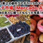 メキシコ・グアダラハラのマーケット「アルカルデ市場(Mercado Alcalde)」の野菜果物写真16枚