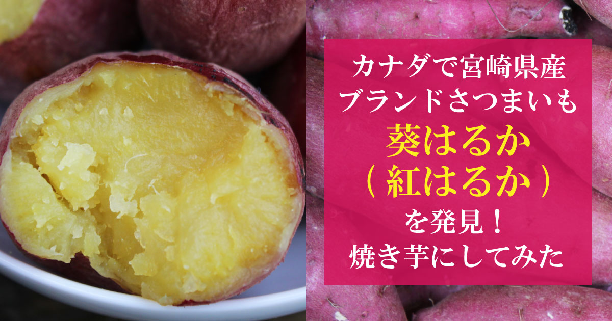 カナダで宮崎県産ブランドさつまいも 葵はるか 紅はるか を発見 焼き芋にしてみた 野菜ソムリエ Hiro のベジフルポケット
