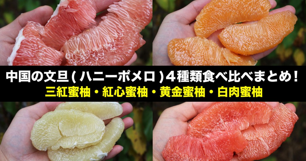 中国の文旦(ハニーポメロ)4種類食べ比べ感想まとめ！三紅蜜柚・紅心蜜柚・黄金蜜柚・白肉蜜柚 野菜ソムリエ Hiro のベジフルポケット