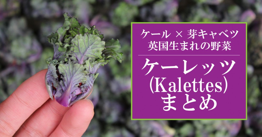 ケール 芽キャベツの英国野菜 ケーレッツ Kalettes まとめ プチヴェールとの違いは 野菜ソムリエ Hiro のベジフルポケット