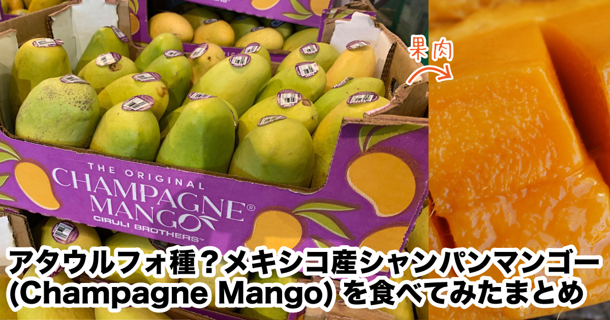 アタウルフォ種なの？シャンパンマンゴー(Champagne Mango)を食べてみたまとめ | 野菜ソムリエ Hiro のベジフルポケット