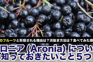aronia-black-chokeberry
