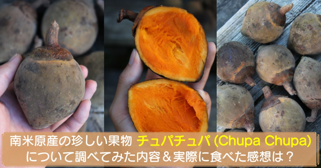 南米原産の果物チュパチュパ(Chupa Chupa)について調べてみた