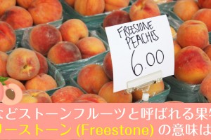freestone-fruit