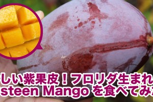 osteen-mango
