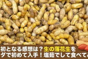 raw-peanuts