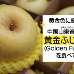 中国山東省煙台市の黄金ふじりんご(Golden Fuji Apple)を食べてみた