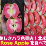 隠されたバラ色果肉！北米で出回るHidden Rose Appleを食べてみた感想