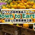 アサイーボウルも！ハワイの自然食品スーパー Down to Earth で出会った野菜果物3選