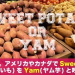 sweet-potato-or-yam