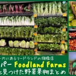 ハワイのアラモアナセンター内のスーパー Foodland Farms 売場写真と見つけた野菜果物まとめ