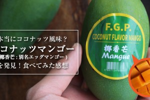 coconut-mango-椰香芒