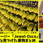 【バナナでギネス記録も】シカゴのスーパーJewel-Osco(ジュエルオスコ) 青果売場で見つけた果物