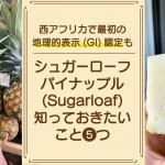 砂糖のような甘さ！シュガーローフパイナップルについて知っておきたいこと5つ