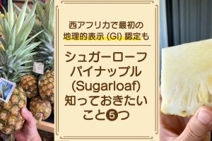 sugarloaf-pineapple-hawaii-benin