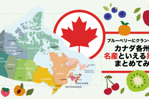 canada-meisan