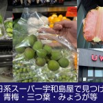 シアトル日系スーパー宇和島屋で見つけた野菜果物８。青梅・三つ葉・みょうが等