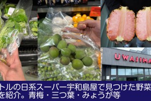 seattle-uwajimaya-produce2024