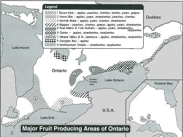 omafra-what-you-should-know-about-fruit-production-ontario-figure-5-en-2022-07-25