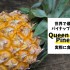 世界で最も美味な品種？クイーン・ビクトリア・パイナップル(Queen Victoria Pineapple)を食べてみた