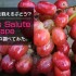 歯ごたえのある甘い果肉が特徴のぶどう Jack’s Salute Grape について調べてみた