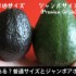 品質に差はある？普通サイズのアボカドとジャンボアボカド(Premium Grade)の違い