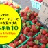 Nathan Phillips Squareのファーマーズマーケットで見つけた夏野菜＆果物10 in トロント