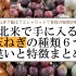 これで解決！アメリカやカナダなど北米で手に入る玉ねぎの種類6つの違いと特徴まとめ