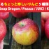 北米で手に入るちょっと珍しいりんご5種類を食べてみた(Sweetie / Snap Dragon / Pazazz / JUICI / Koru Apple）