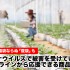 新型コロナウイルスで被害を受けている農家をオンラインから応援できる商品6