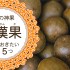 長寿の神果！天然甘味料「羅漢果(ラカンカ)」知っておきたいことまとめ５