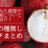 中国産の種無しライチ特集！食べてみた感想や単為結果について解説