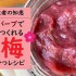 【海外在住者の知恵】塩とルバーブで簡単につくれる「練梅っぽいやつ」レシピ