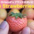 世界で人気のDriscoll’sの淡いピンク色イチゴ「ロゼストロベリー」を食べてみた