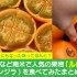 コロンビアなど南米で人気の果物ルロ(別名ナランジラ)を食べてみたまとめ