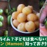 まるでミニライム？珍果物マモン(Mamon)、知っておきたいこと5つ