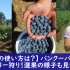 バンクーバー近郊でブルーベリー狩り！選果の様子も見学してきた話