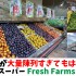 野菜果物が大量陳列すぎてもはや感動？シカゴのスーパーFresh Farms写真