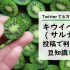 Twitterで6万いいね超え。キウイベリー(サルナシ)投稿で判明した豆知識5つ