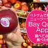 ニュージーランドの Bay Queen Apple を購入。調べてみた＆食べてみた